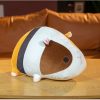 Adorable Lying Guinea Pigs Squad