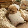 Cozy Pet Animal Cuddle Cushions