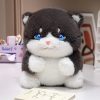 Cute Chubby Gray Ginger Cat Plushies
