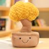 Cute Little Bonsai Tree Buddy Plushies