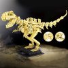 Dinosaur Fossil Skeletons Building Blocks Collection 2 | LIMITED STOCK