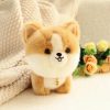 Fluffy Mini Dogs