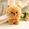 Fluffy Mini Dogs