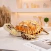 Lifelike Sea Turtle Plushies