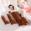 Marley the Long Dachshund Sausage Dog Plushie