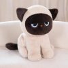 Momo the Sitting Kawaii Siamese Cat