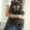 Poe & Friends Cat Family Plushies