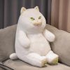 Poe the Grumpy Cat Plushie