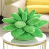 Vibrant Succulent Plush Squad