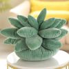Vibrant Succulent Plush Squad