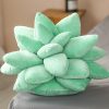 Vibrant Succulent Plush Squad